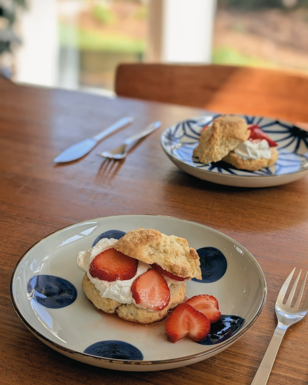 Blue & White Hand-Painted Japanese Large Plate 8.7" – Hasami Ware with strawberry shortcake