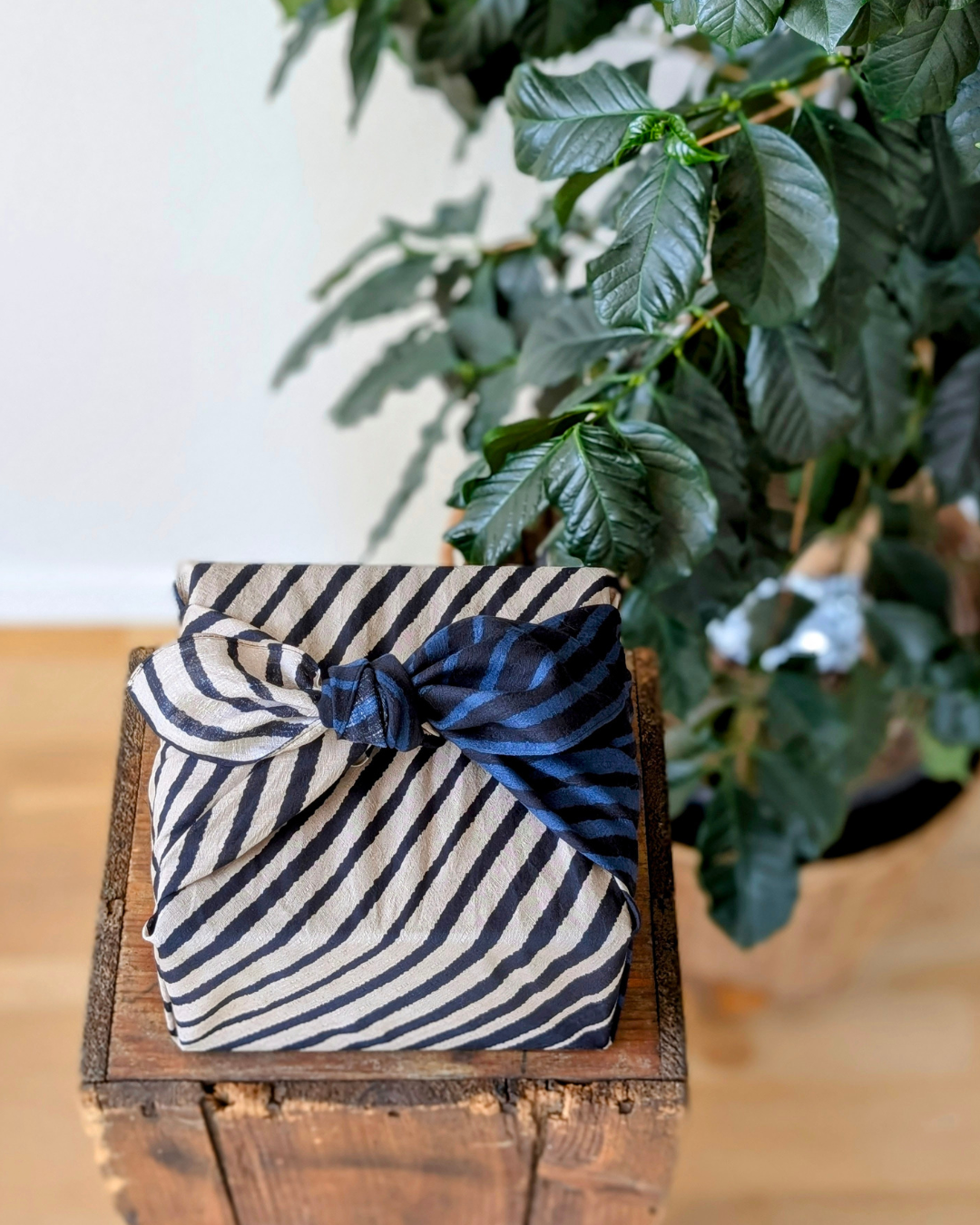 Cotton Furoshiki Wrapping Cloth Medium