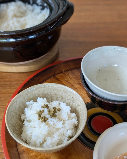 Iga Ceramic Rice Bowl