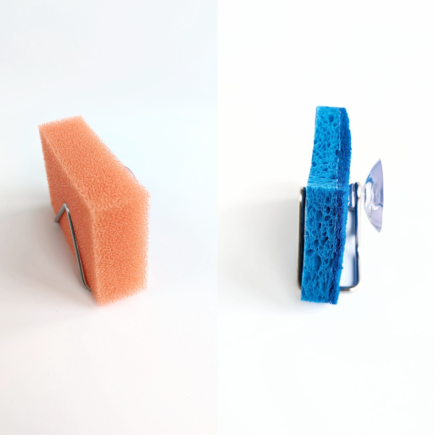 Suction Sponge Holder