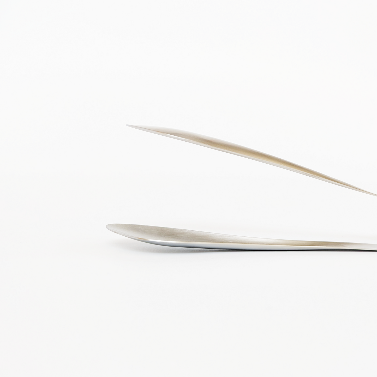 Stainless Steel Tongs