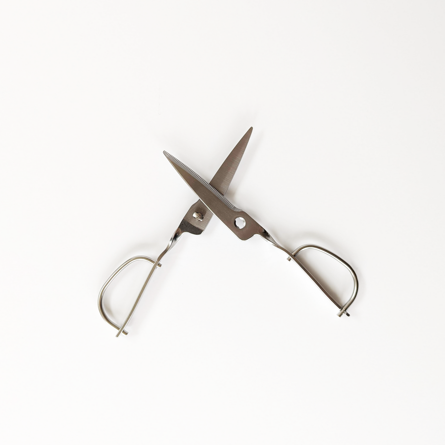 Stainless Steel Kitchen Scissors