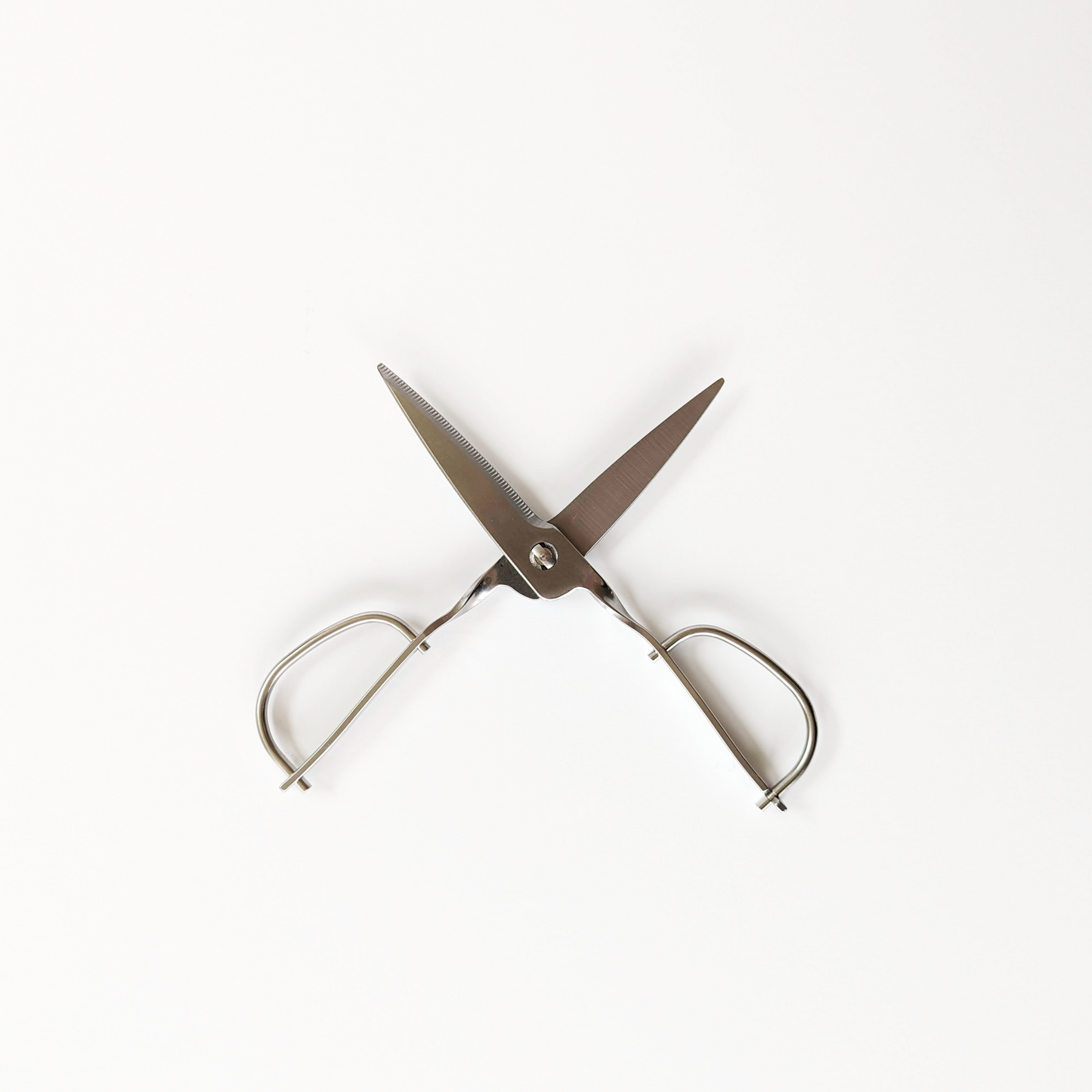 Stainless Steel Kitchen Scissors