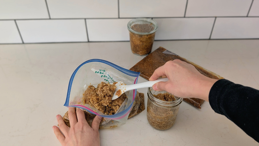 Homemade miso after one year of fermentation, ready to be used in everyday cooking.