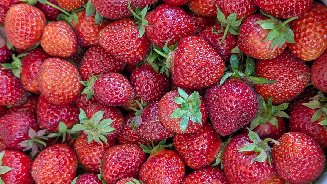 Strawberry Season in Oregon: Jam-Making with Hood Strawberries and a Trusty Kitchen Tool