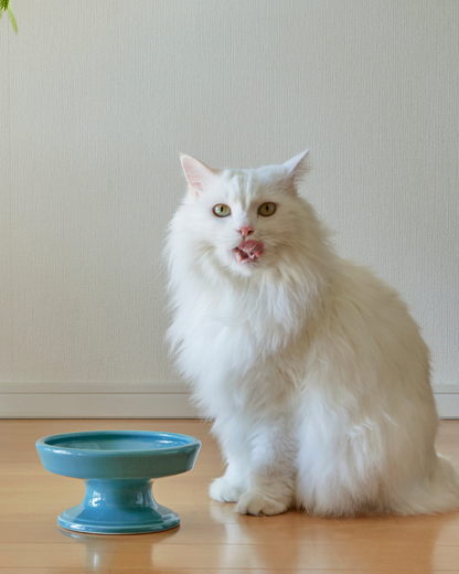 Ceramic Raised Pet Food Bowl 16cm (6.3") Green with a cat 3