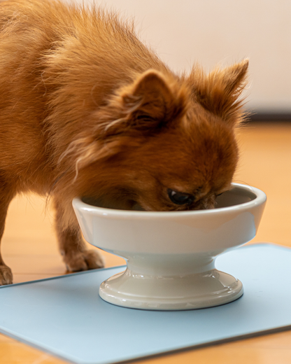Ceramic Raised Pet Water Bowl 16cm (6.3")