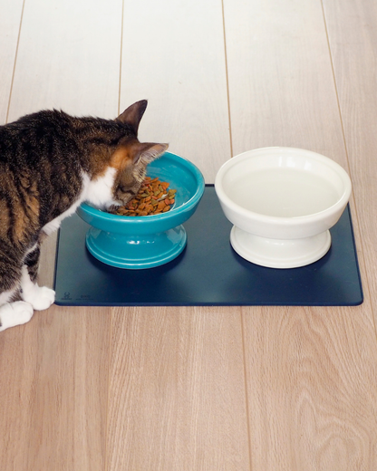 Ceramic Raised Pet Water Bowl 16cm (6.3")