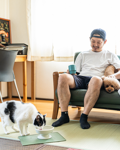 Ceramic Raised Pet Water Bowl 16cm (6.3")