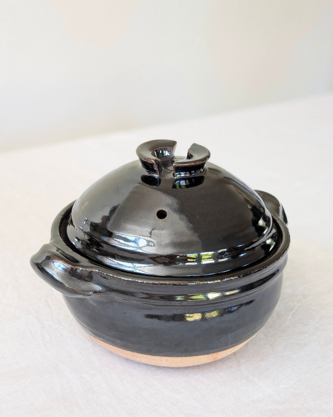 Donabe Clay Rice Cooker