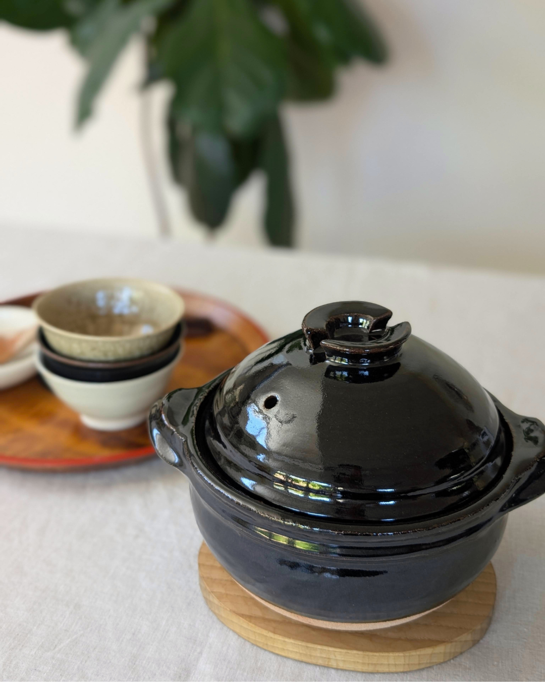 Donabe Clay Rice Cooker